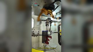 Máquina de bobinado de estator completamente automática Serie SMT
